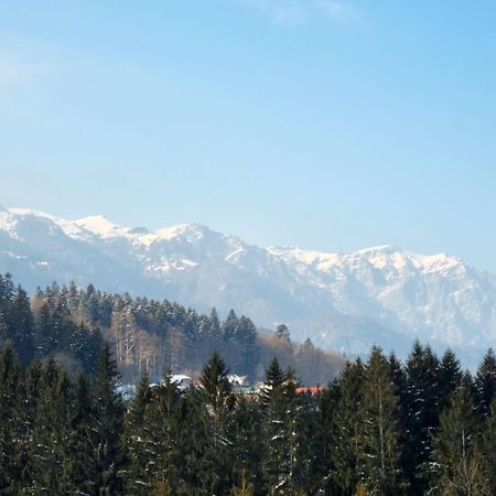 Vintage Home Sinaia Eksteriør billede