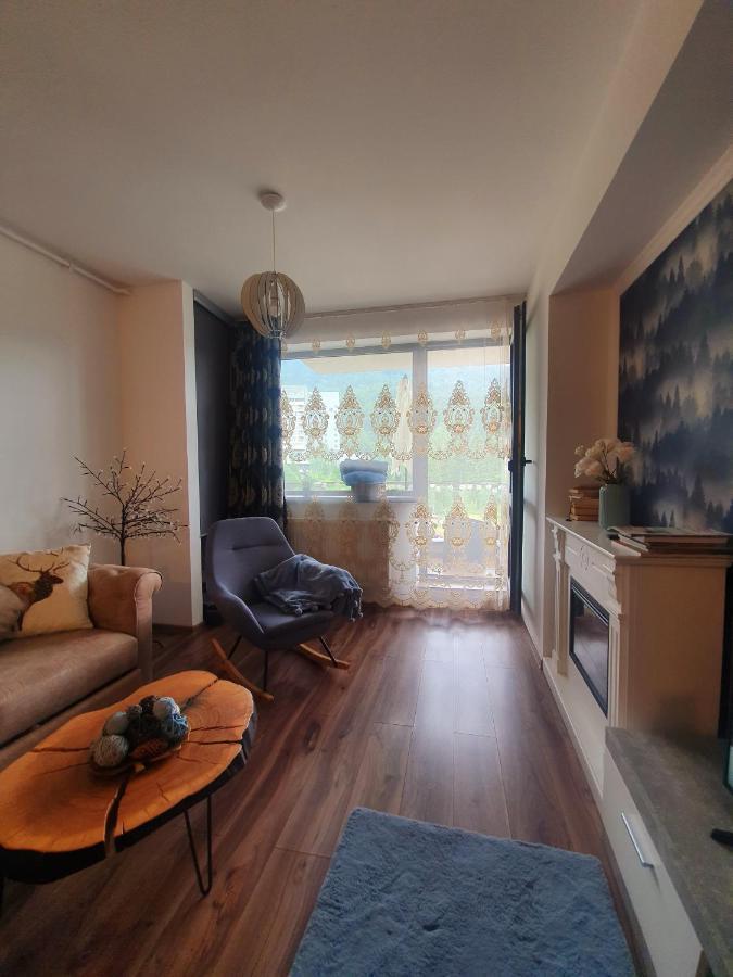 Vintage Home Sinaia Eksteriør billede