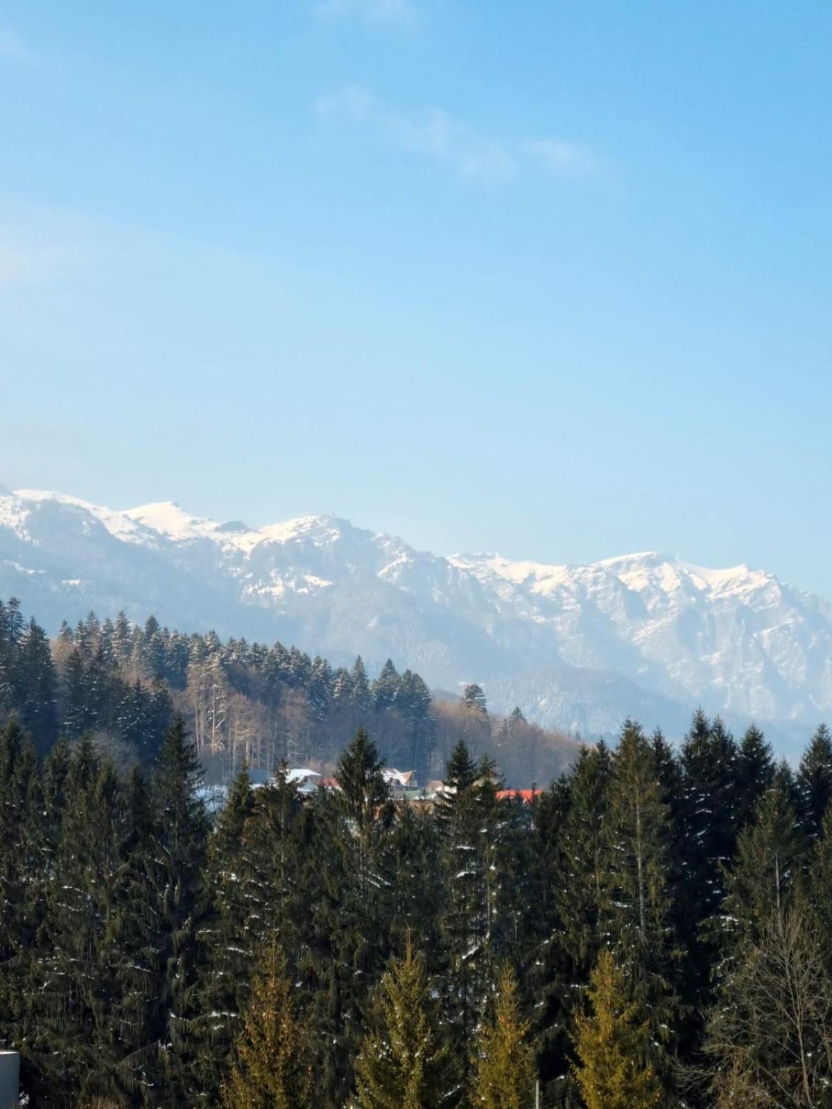 Vintage Home Sinaia Eksteriør billede
